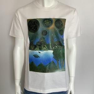 World of blue ( organic  cotton ) 深青の世界