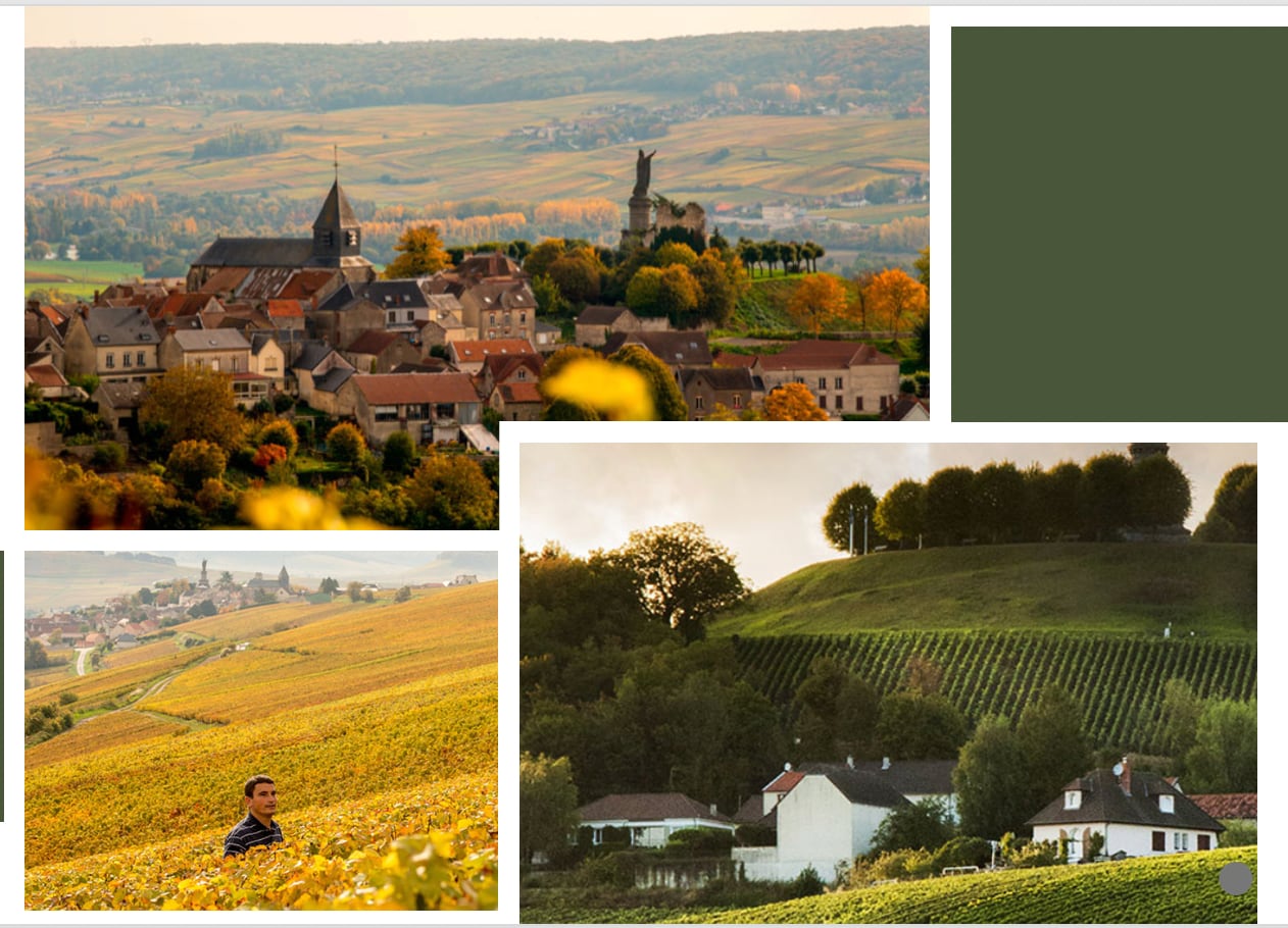 ★新着ワイン★【カゼ・ティボー】シュマン・デ・プラン 2020