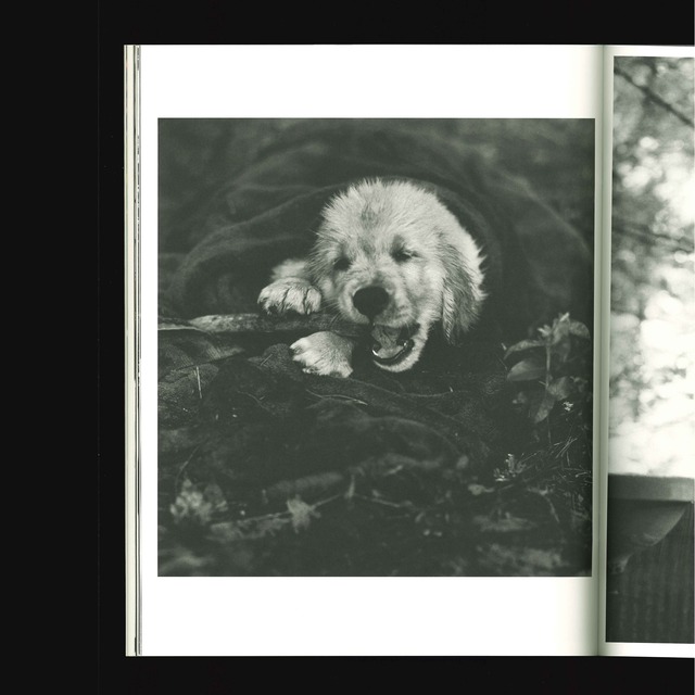 Bruce Weber: ALL-AMERICAN