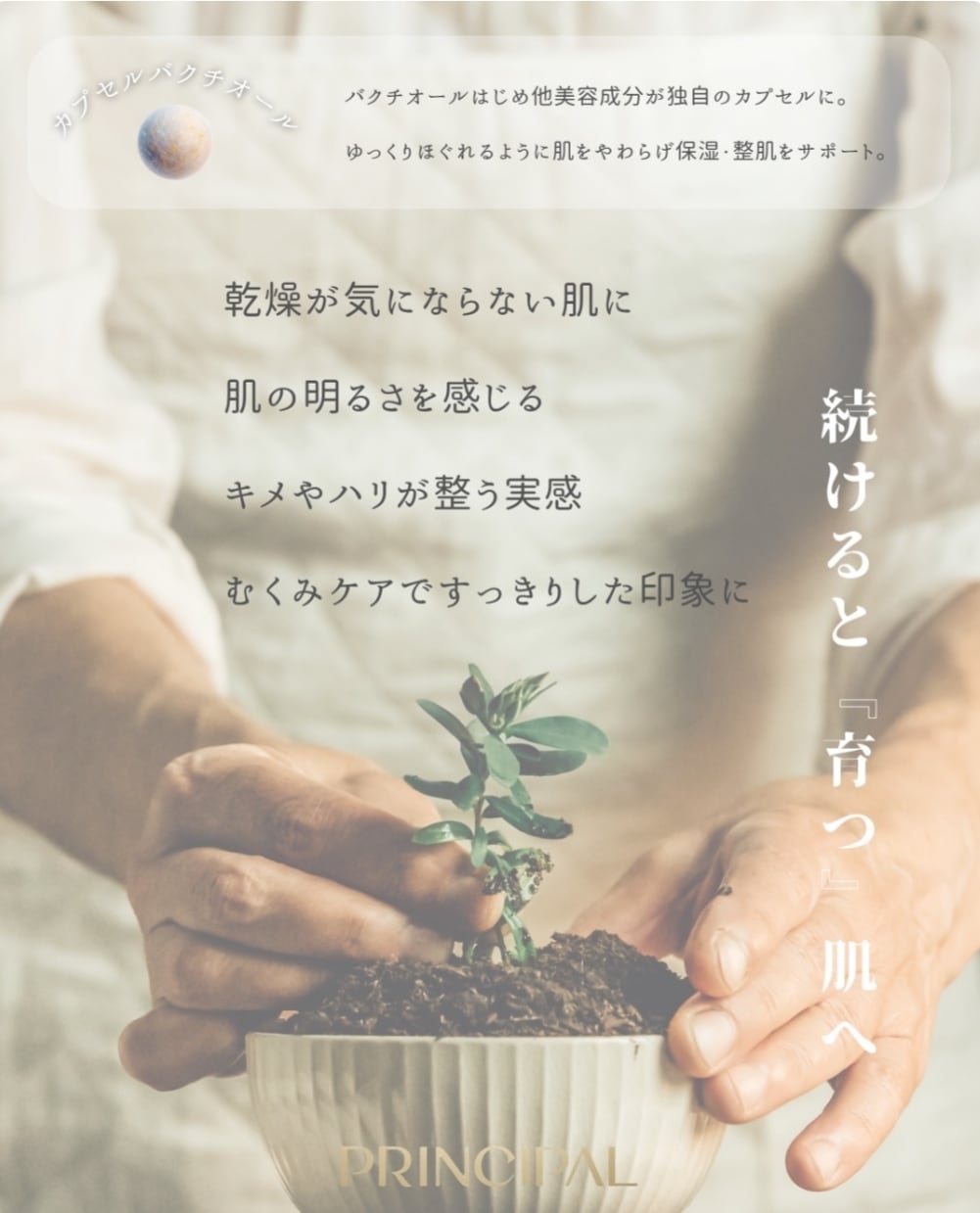 プリンシパル シークレットペースト 約50日分 100g［炭酸ガス