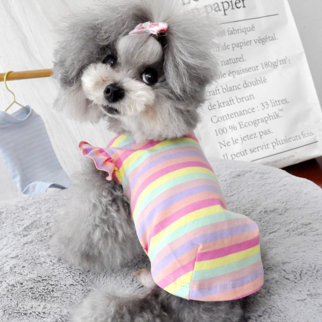 rainbow袖フリルＴシャツ