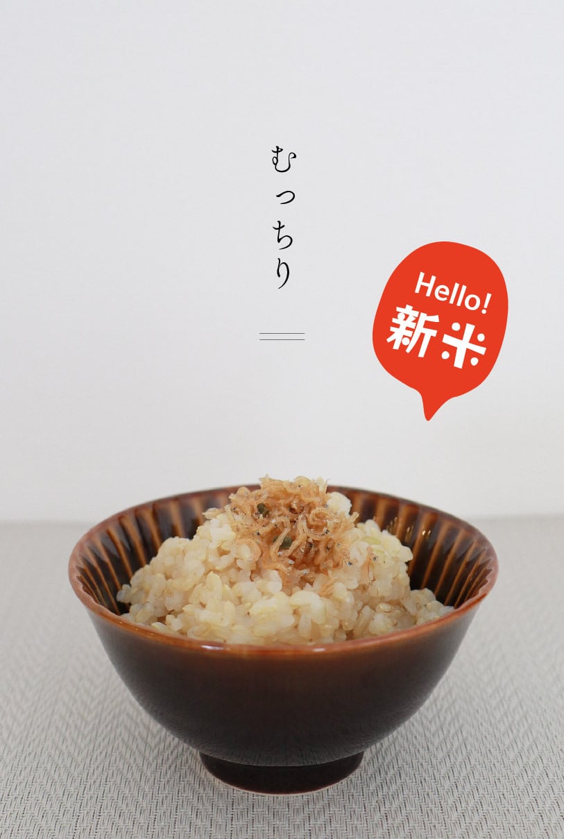 【新米】若井農園 滋賀県竜王町産にこまる2kg（玄米）有機JAS ※令和7年産（2025年産）