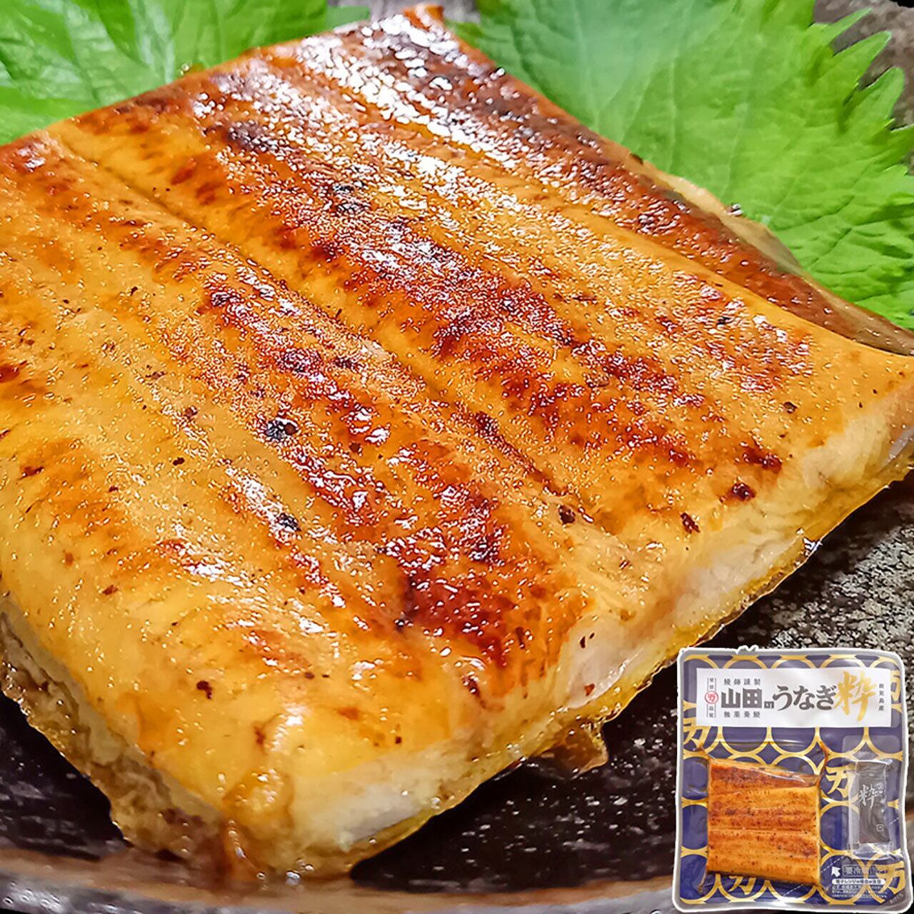 ichigo-ichigo 鹿児島県産 無薬養鰻(むとうやくうなぎ) うなぎ 国産