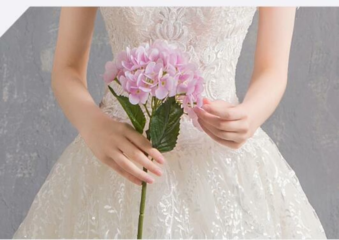 カラードレス 薄シャンパンの色 上質オーガンジー オフショル 華やかな  