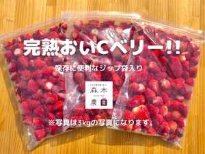 【送料込】冷凍おいCベリー3kg ☆ビタミンＣ含有量Ｎｏ１品種