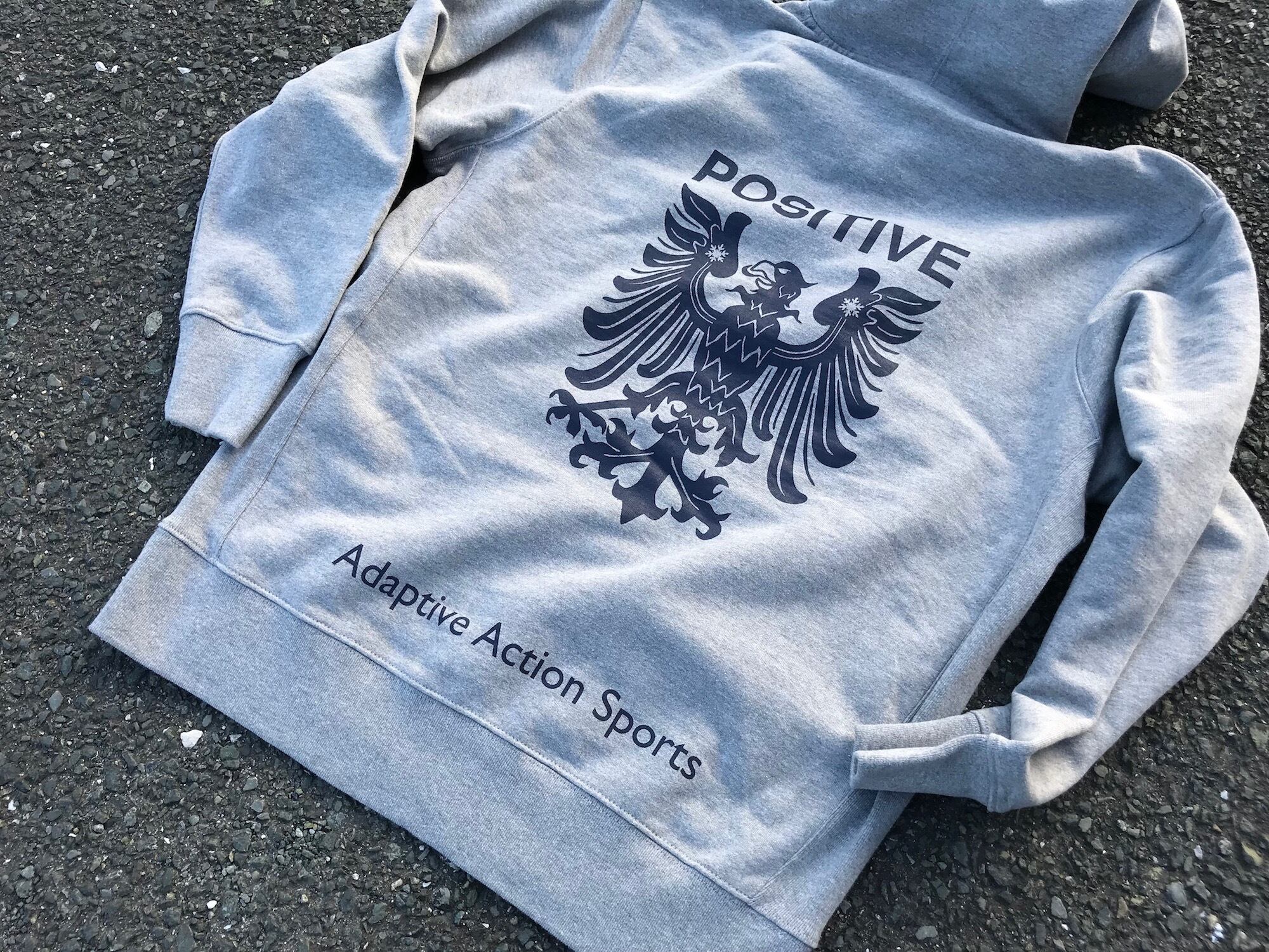 TEAM POSITIVE パーカー Type1 Grey | teampositive