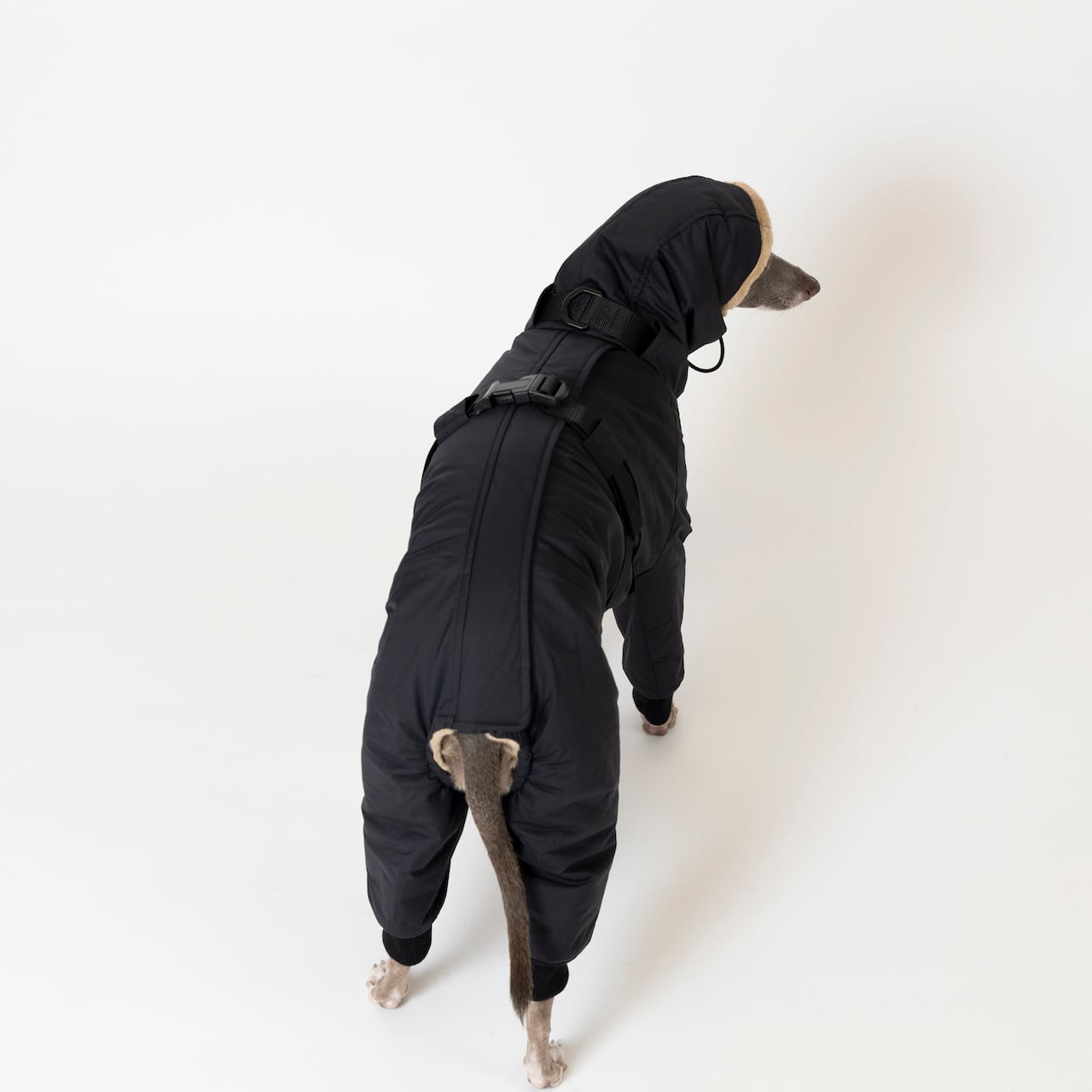 ボンバーヒートジャケット2024 black / イタグレ服 | イタグレ服