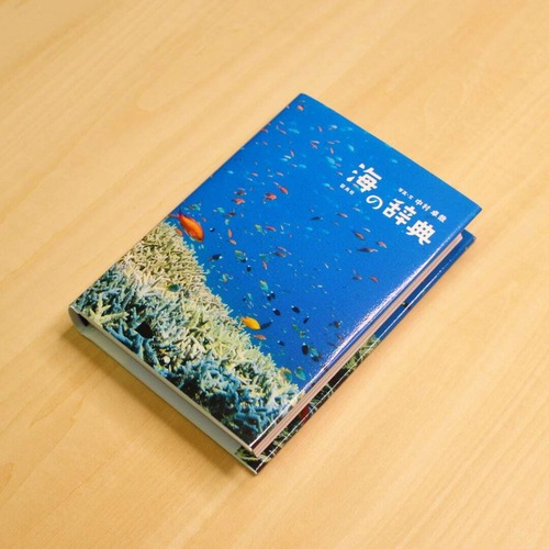 海の辞典 / 中村卓哉 画像