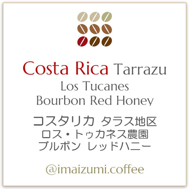 【送料込】コスタリカ ロス・トゥカネス農園 ブルボン レッドハニー - Costa Rica Los Tucanes Bourbon Red Honey - 300g(100g×3)