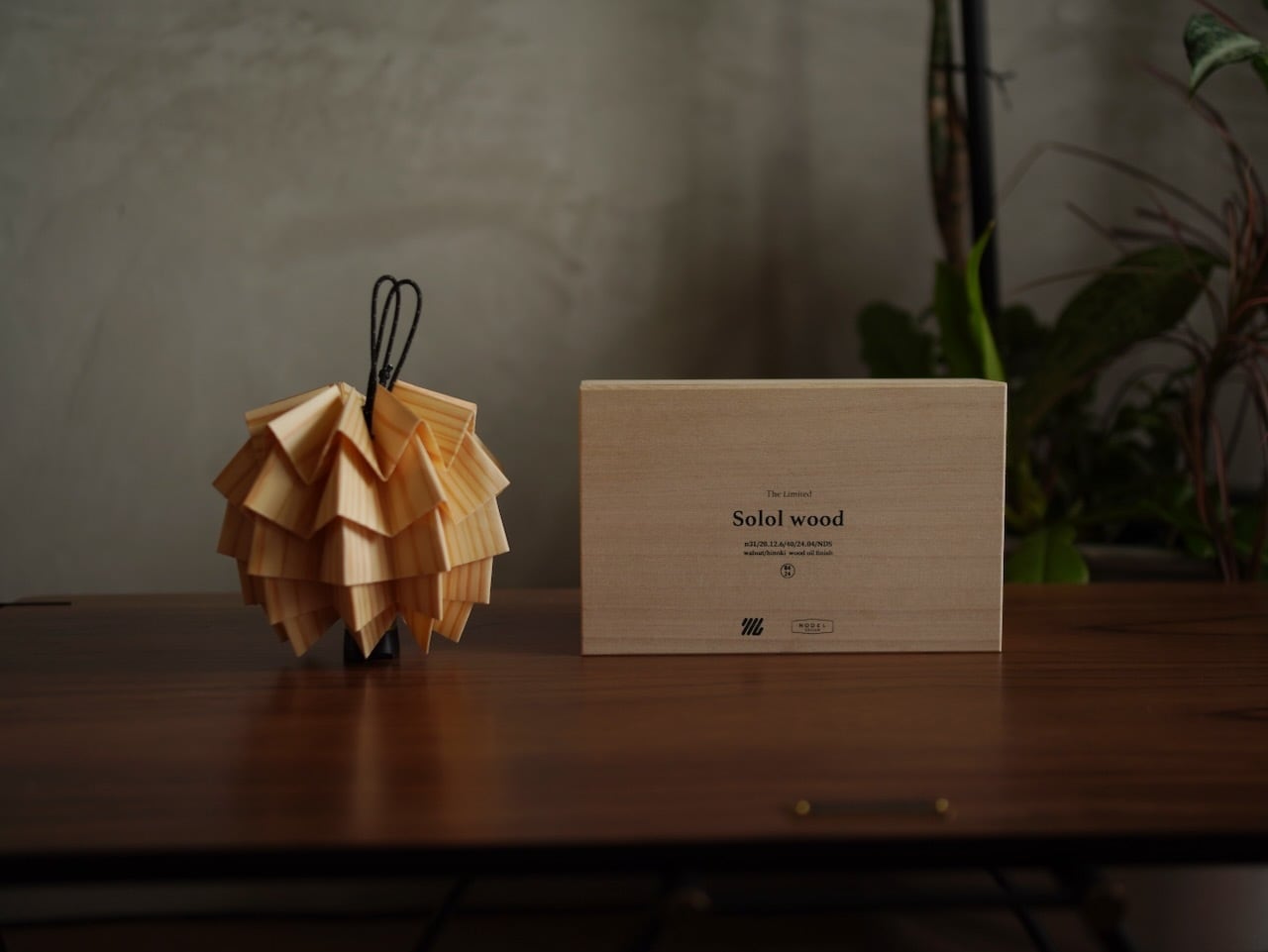 solo wood 【sugi】