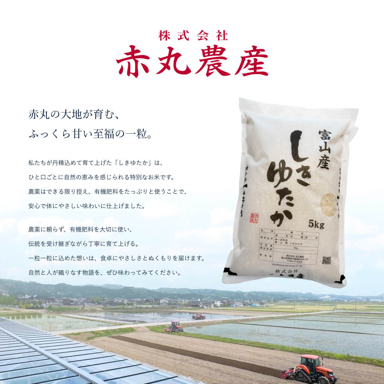 令和7年度産】富山産しきゆたか5kg | PAY ID