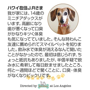 ペットの嫌な臭い、体臭、便臭、尿臭対策に！スマイルペット200ml 3本セット