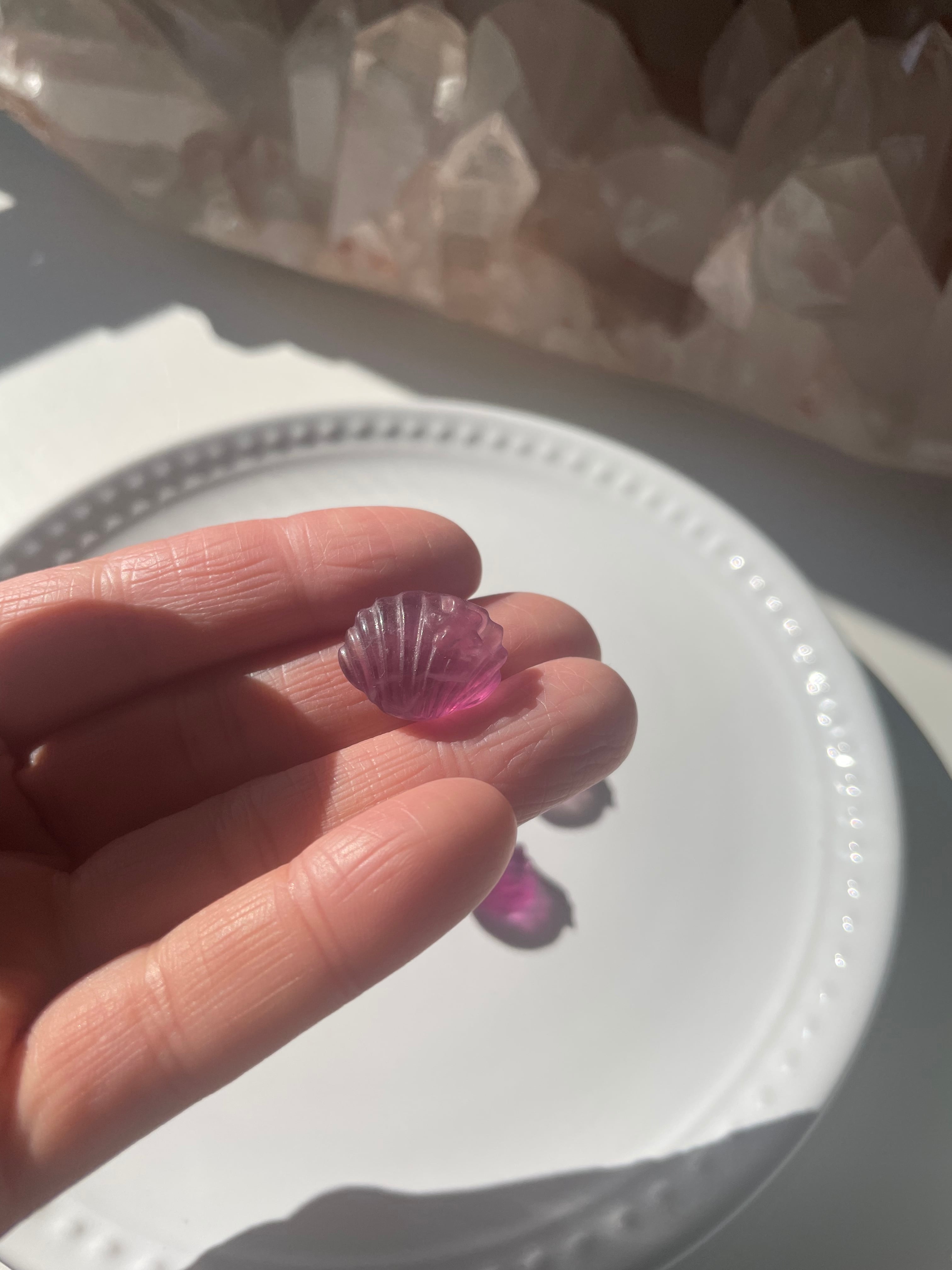 Fluorite Shell / フローライト　貝