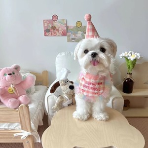 【PET】4色チェック柄誕生日用帽子&スタイ2点セット