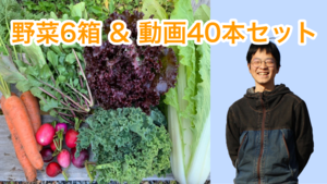 2024年【野菜&動画セット】野菜宅配セット（全6回分）＆ぼくらの野菜の育て方（残600口）