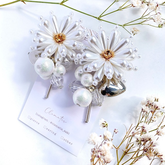 ◇P-11 Dandelion ✳︎