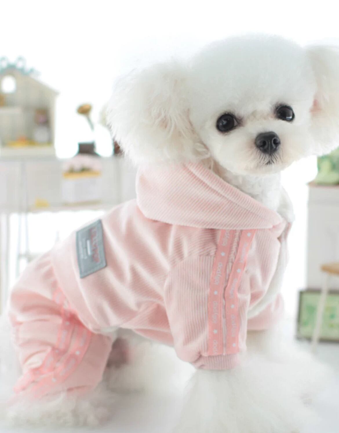 犬服 ジャージ風ロンパース | BIGDIPPER