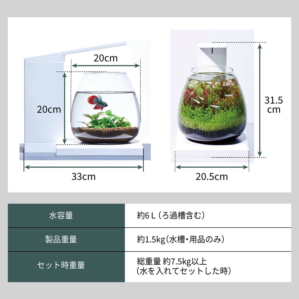 グラスアクア PERCO T-WH オールインワン水槽ペルコ | ジョイフルパル