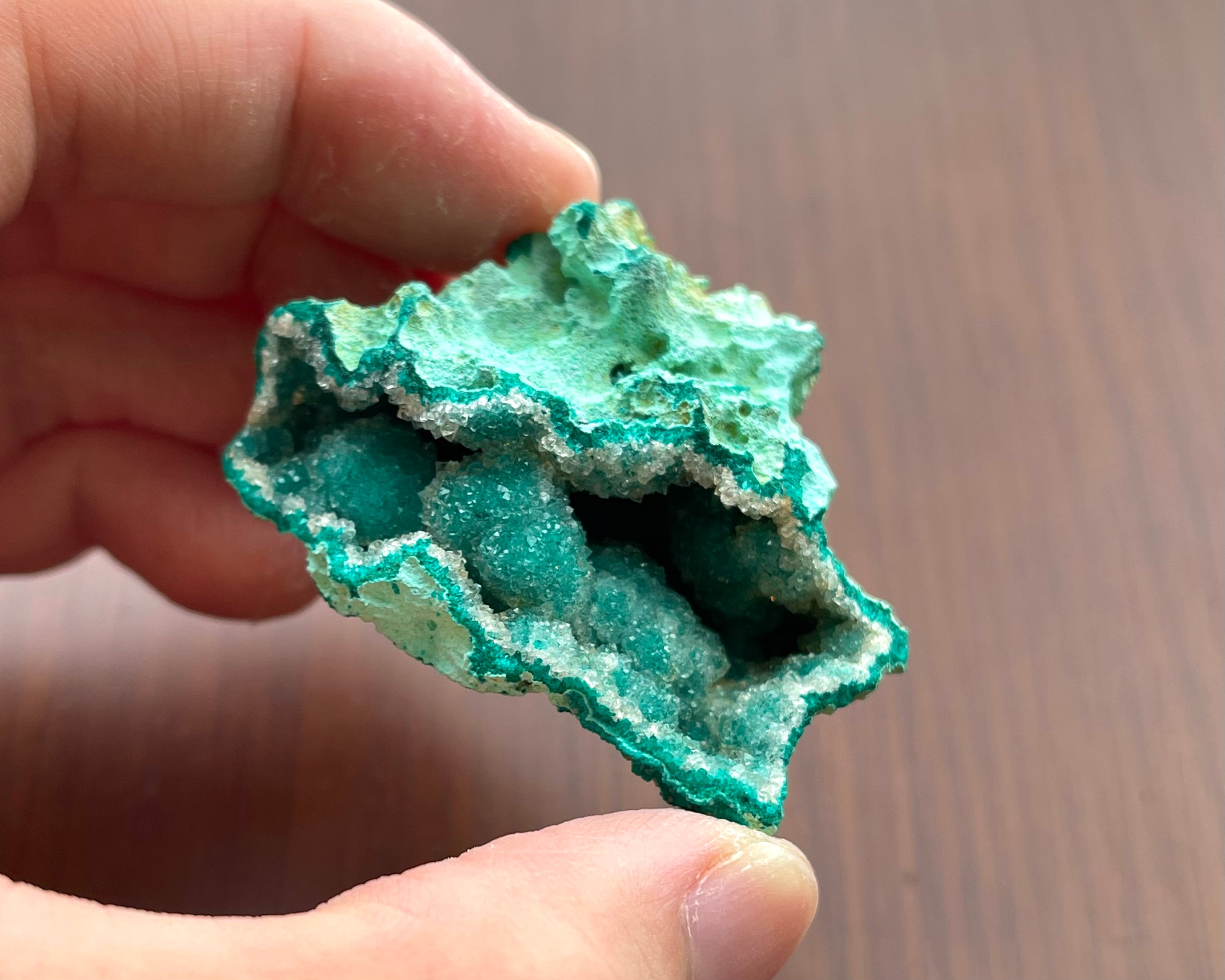 クォーツ / ダイオプテーズ【Quartz on Dioptase】コンゴ共和国産