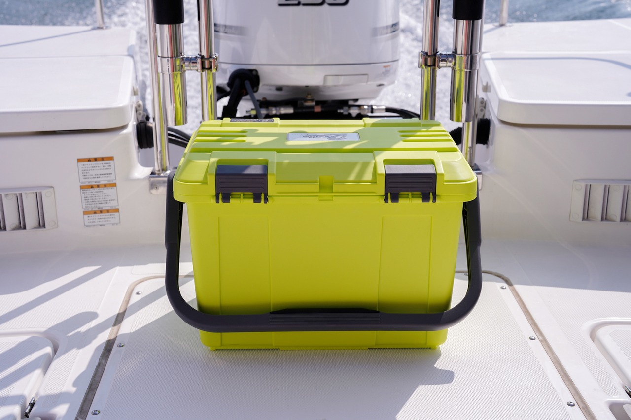 【デットストック品・2026年発送】D-5000 ピーチピンク／ライムイエロー