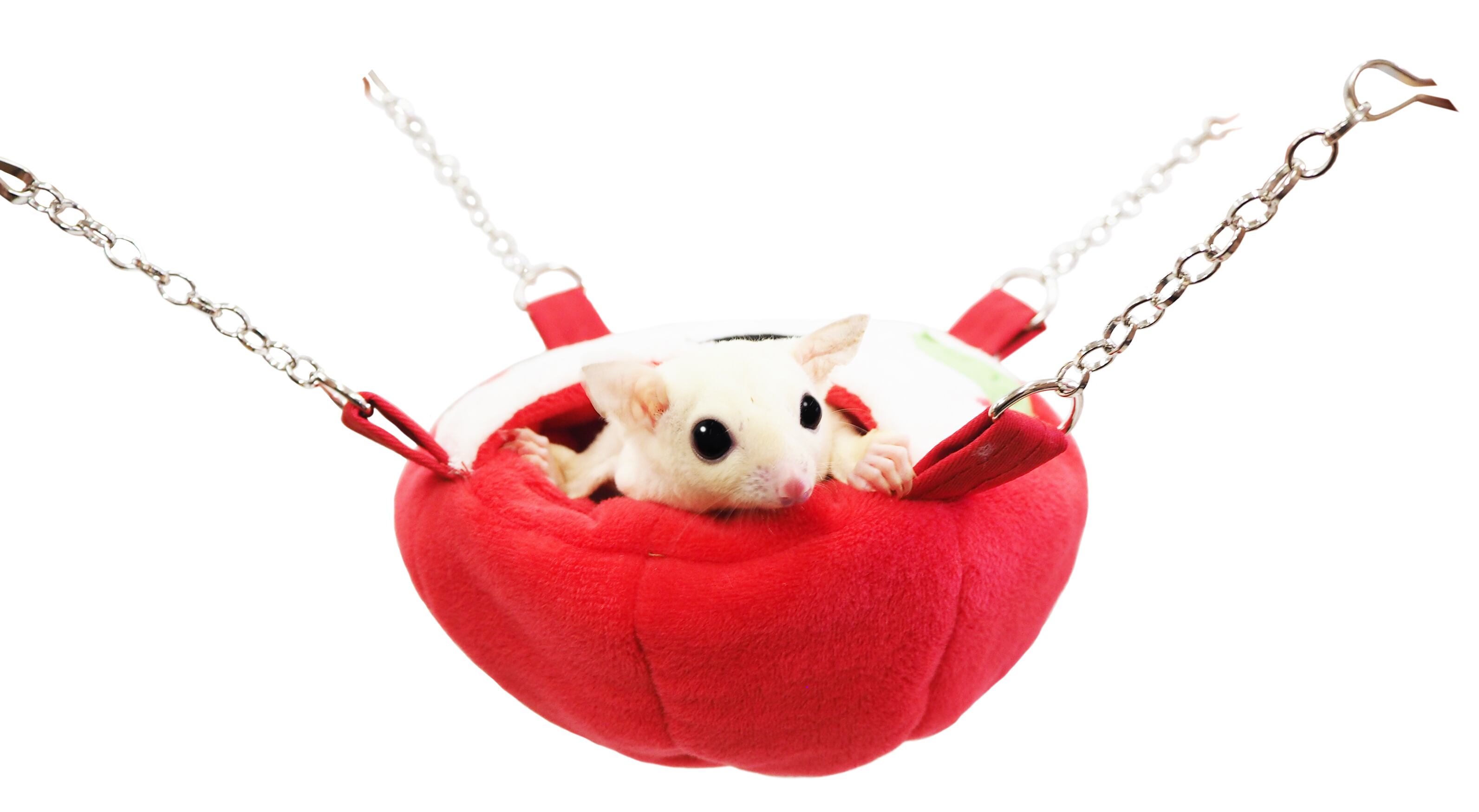 【小動物】フルーツカップ りんご/オレンジ