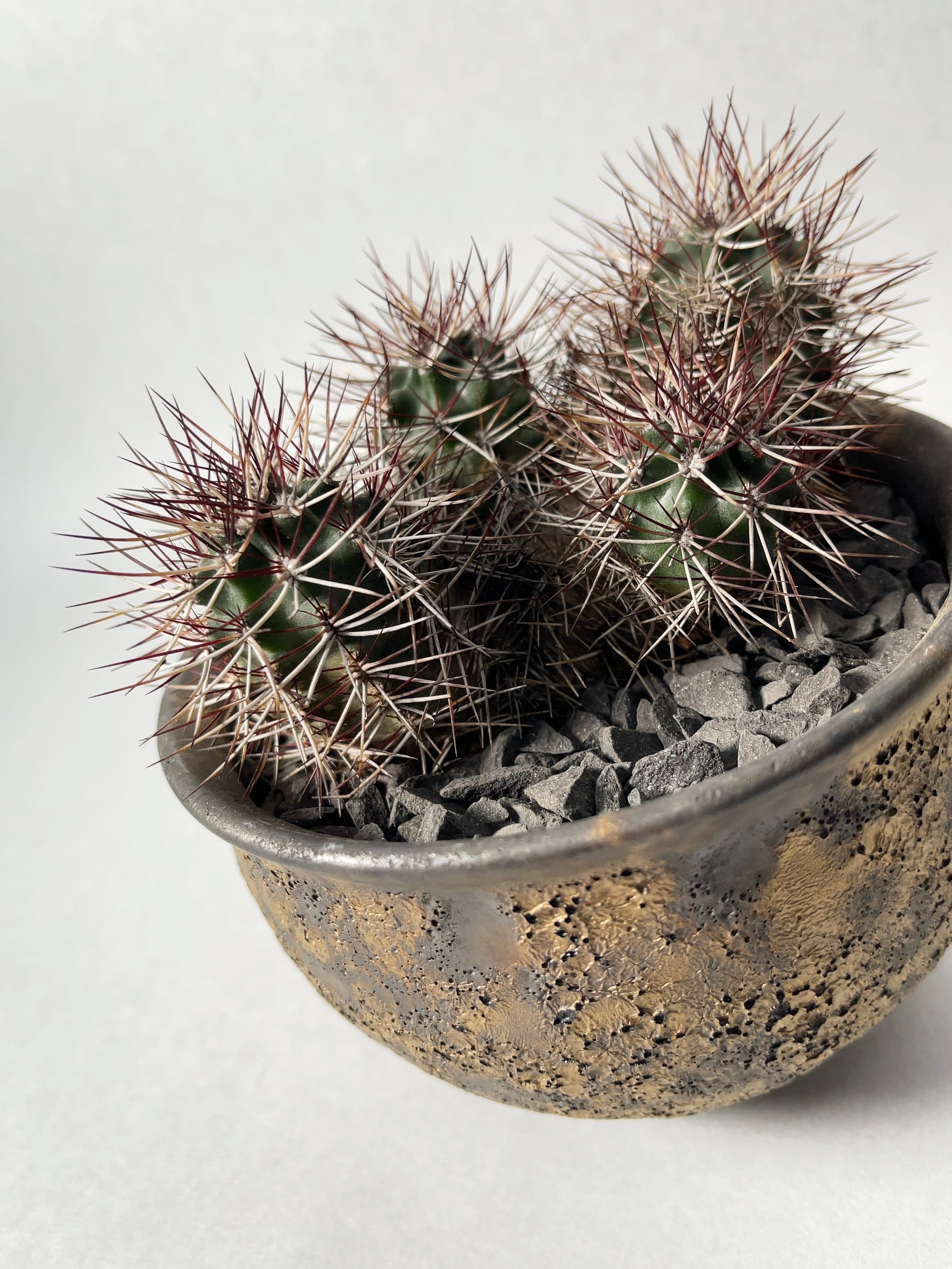 中川智治×trigger】ダビシー | trigger