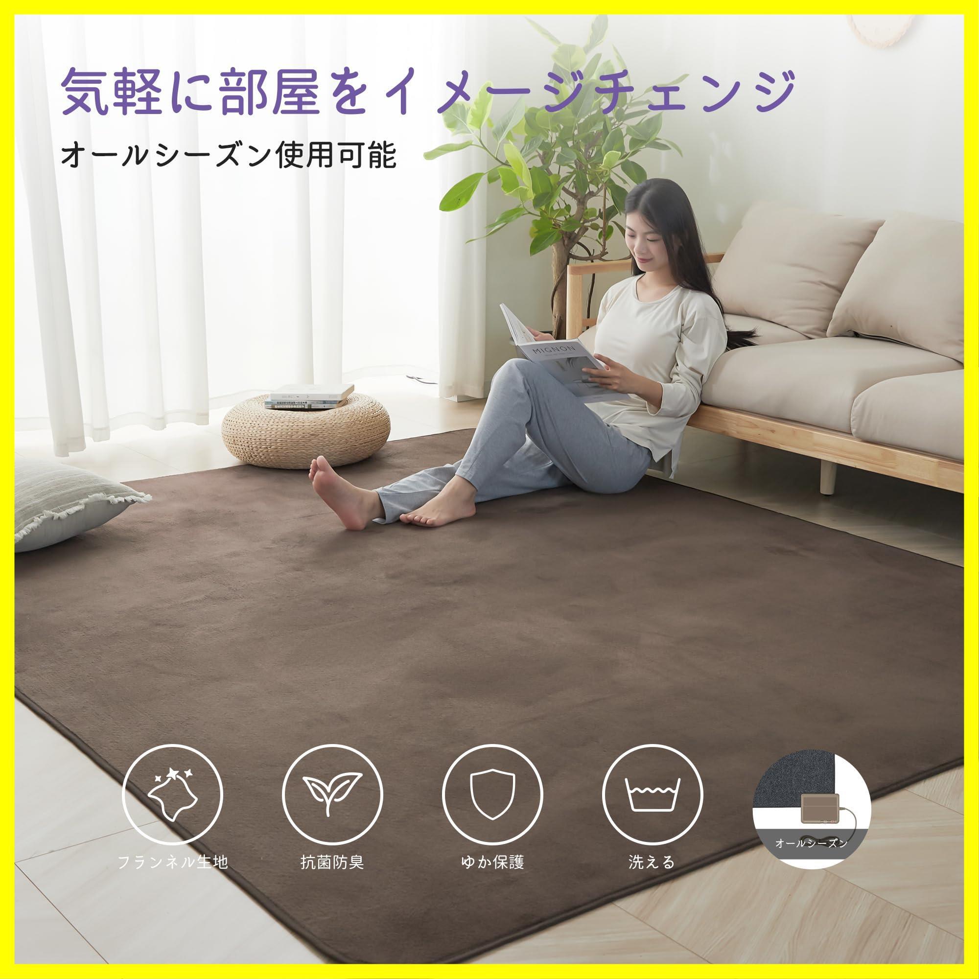 カーペット160x230cm ラグマット北欧 ラグ 洗える 抗菌防臭 #D06 カーペット160x230cm ラグマット北欧 ラグ 洗える 抗菌防臭 #D06