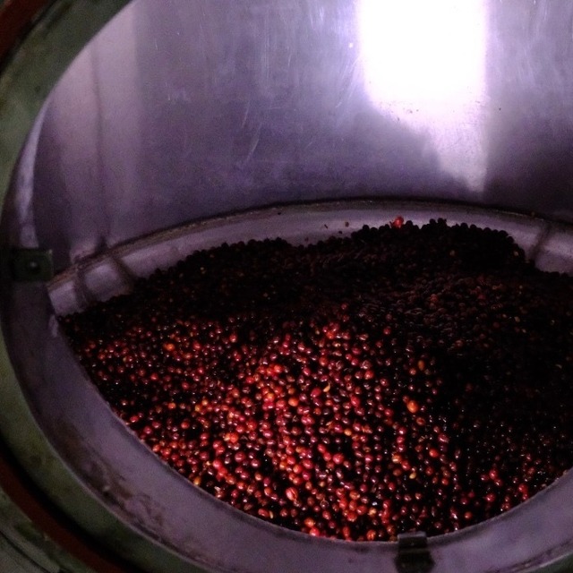 【200g】コロンビア エルパライソ ダブルアナエロビックファーメンテーション ライチ