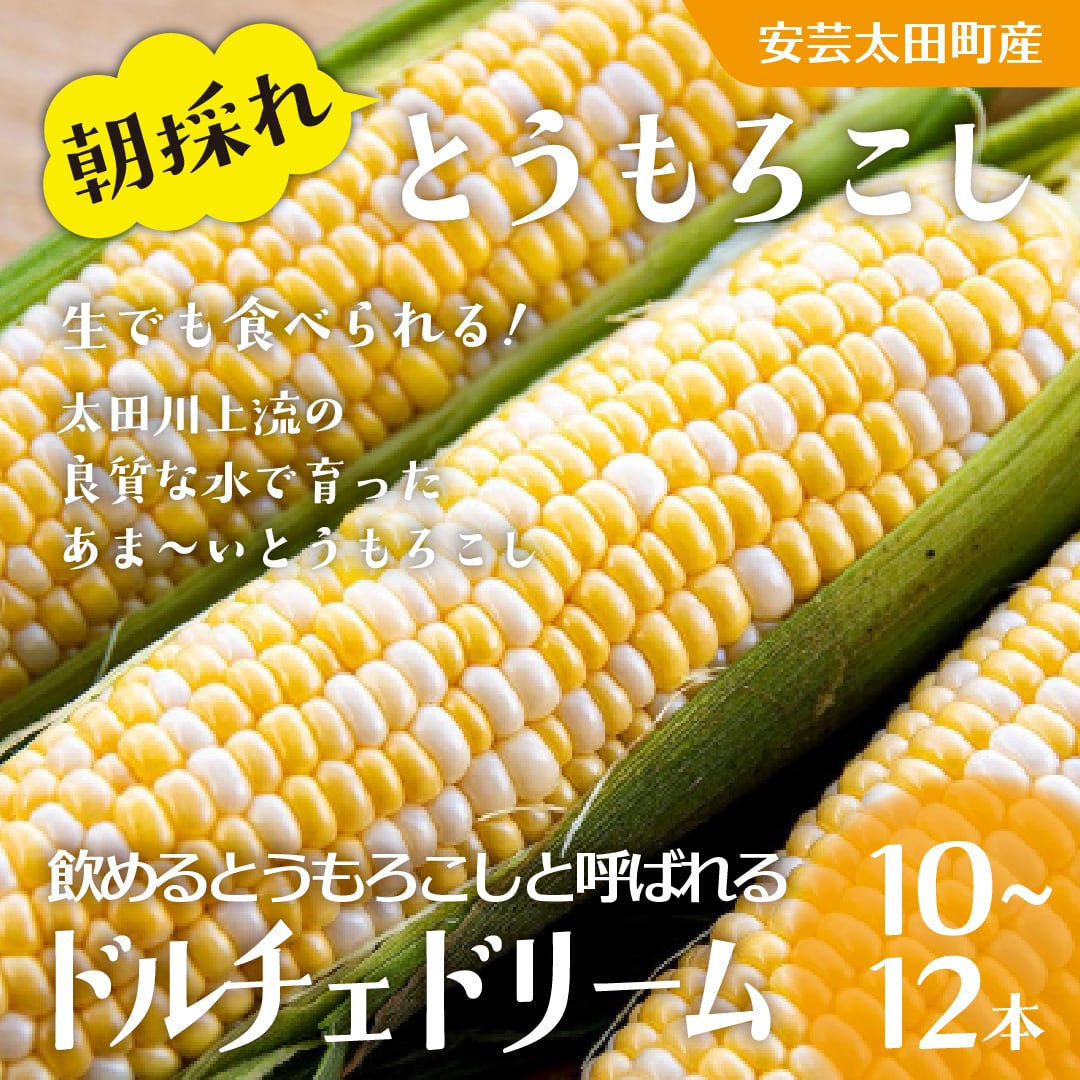 【送料半額】朝採れとうもろこし10~12本(ドルチェドリーム)《お中元・夏ギフトに》