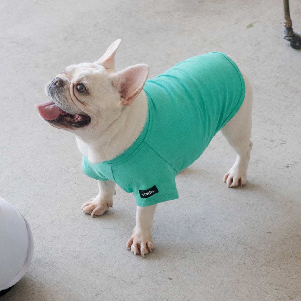 【 A week Tシャツ グランシリーズ キャットパターン 刺繍 】ワンポイント 名入れ 犬 ドッグ かわいい オールシーズン