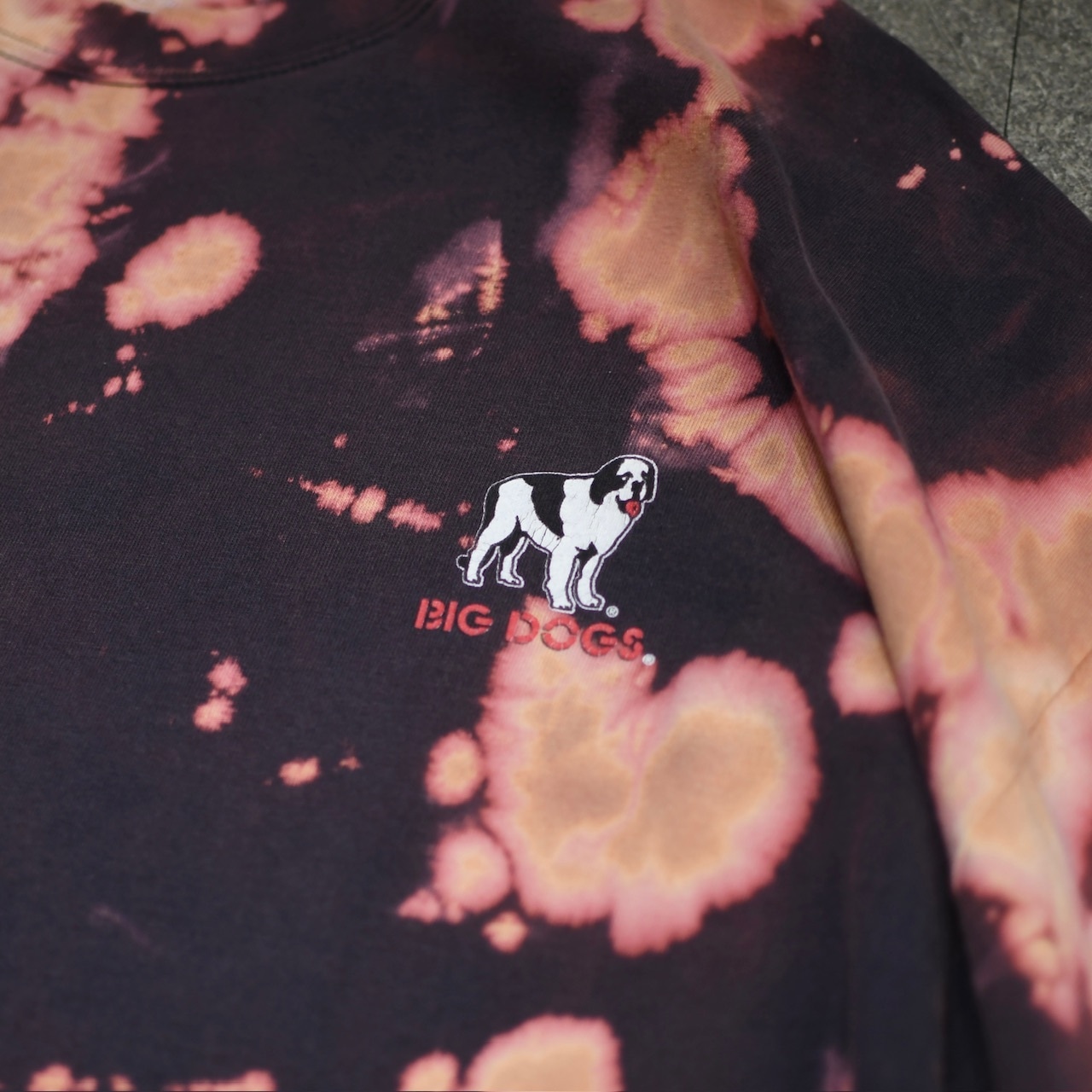 BIG DOGS bleach print tee
