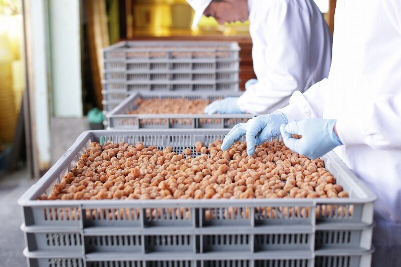塩だけで漬けた織姫小梅干 100g | （株）梅吉 【群馬県の梅どころ榛名 】