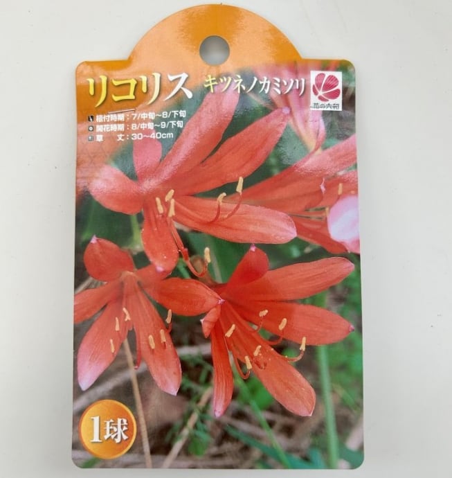 フラワーガーデン泉 オンラインショップ