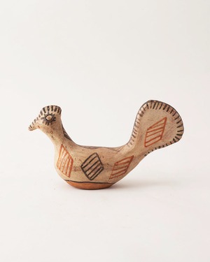 鳥  / Morocco