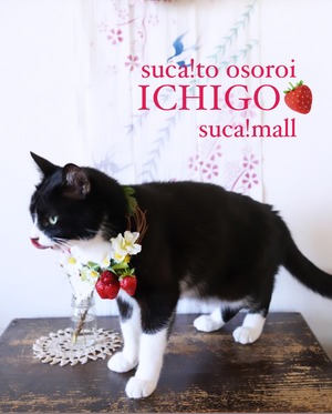 4【ICHIGO】スカとおそろいイチゴのリース☆