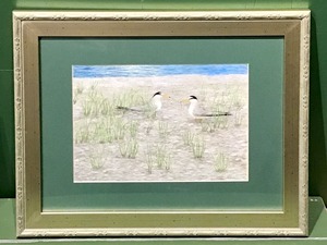 【野鳥生活】原画「ぼくにしなよ」（こあじさし）