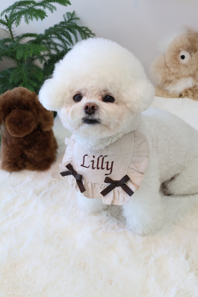 受注制作【settusettu】bonbon cape beige ver〔お名前刺繍〕