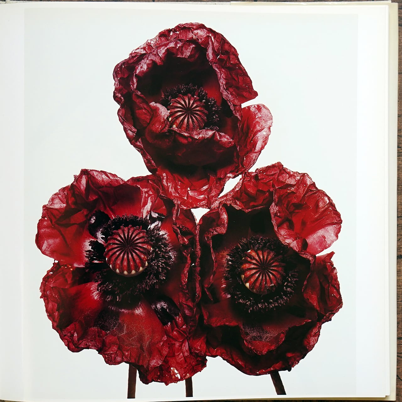 Irving Penn FLOWERS | タイムカプセル