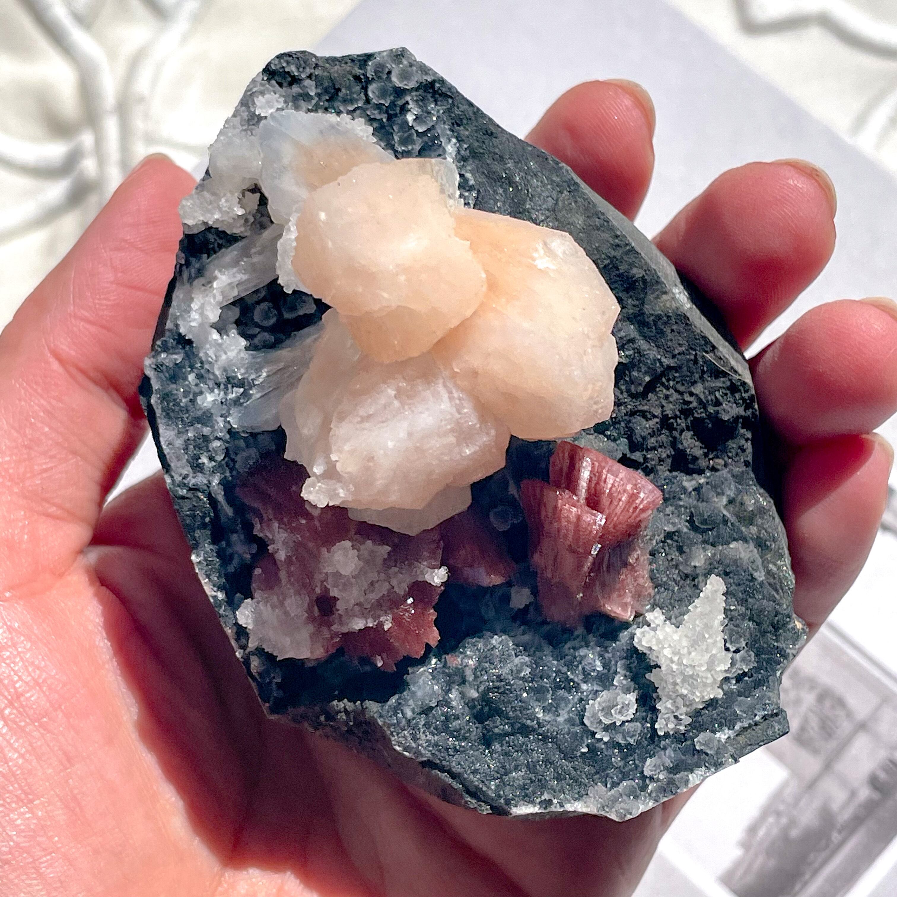 Pink & Red Stillbite ✧ ピンク&レッド スティルバイト | FLUXY