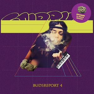 〈残り1点〉【CD】Endrun - Buds Report Vol. 4