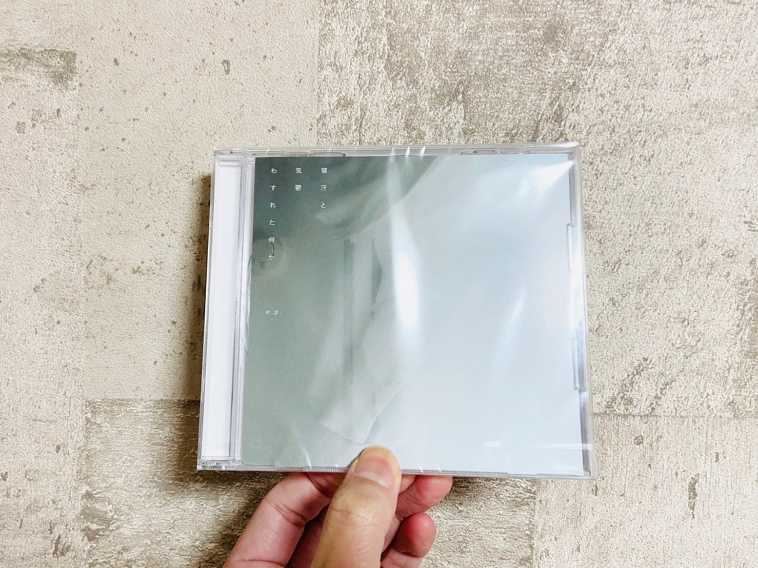 LP】ん・フェニ / N's PAST RECORD | HOLIDAY! RECORDS DISTRO