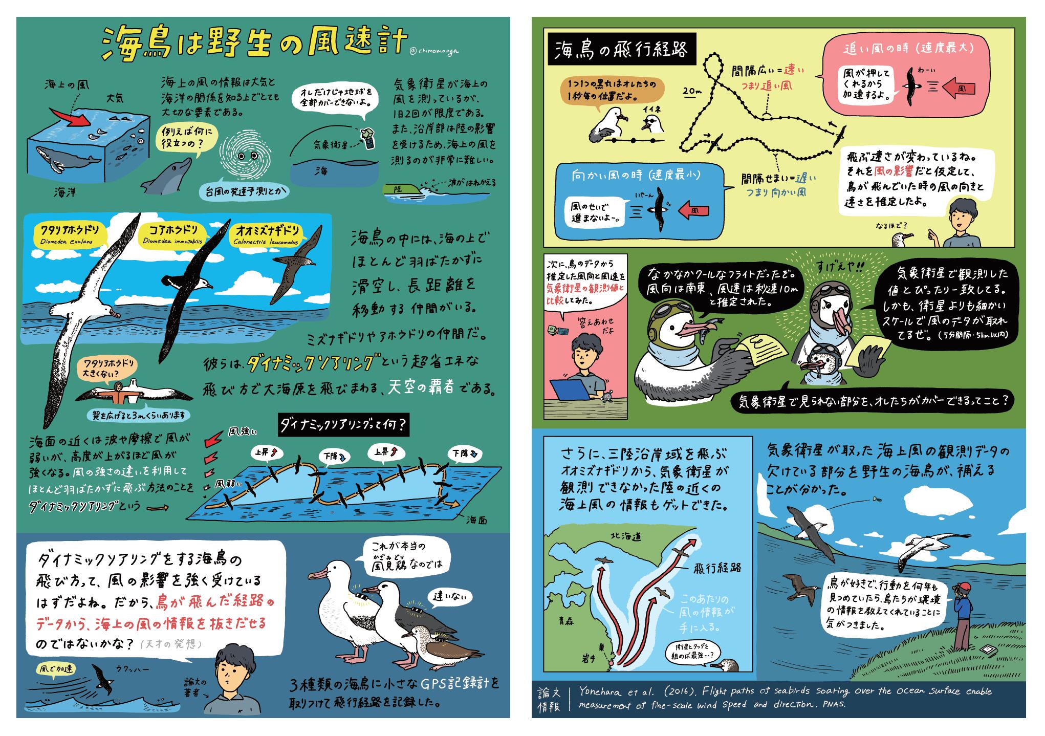 科学論文イラスト図解 Chihiro Kinoshita Webshop