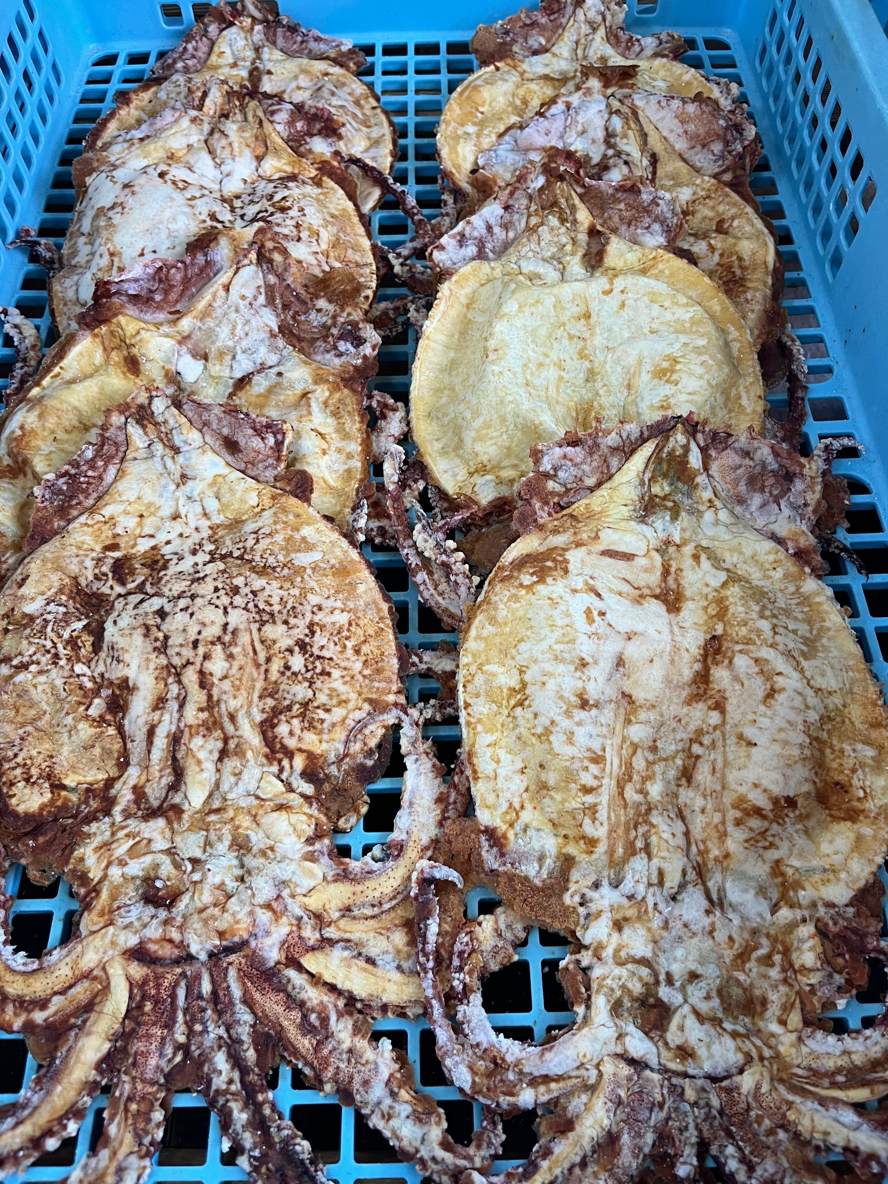 いか姿焼 | 三河一色海老せんべい 味の老舗 青山 ｵﾝﾗｲﾝｼｮｯﾌﾟ
