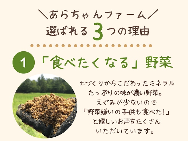 旬の野菜セットM【化学合成農薬、化学肥料不使用】