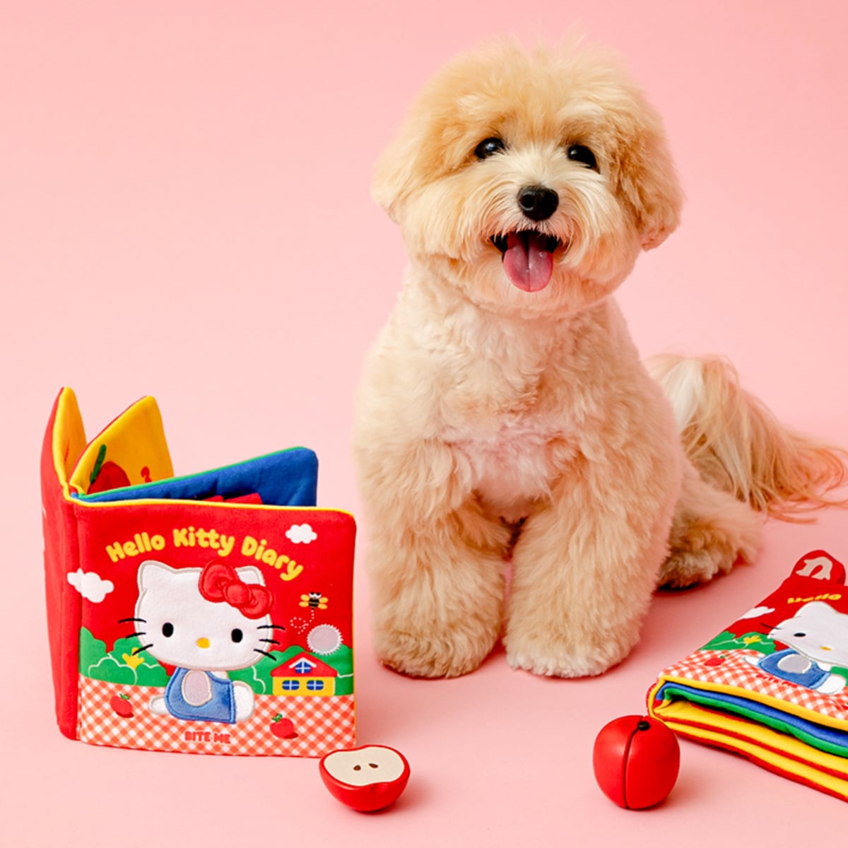予約】［BITE ME×SANRIO］HELLO KITTY NOSEWORK PLAY BOOK | a:nyu