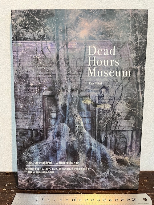 Dead Hour Museum  二階健　Ken Nikai