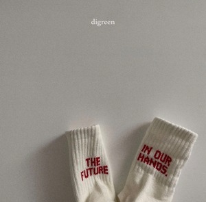 digreen / future socks (3P set)