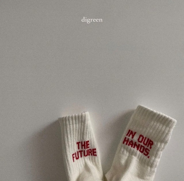 digreen / future socks (3P set)