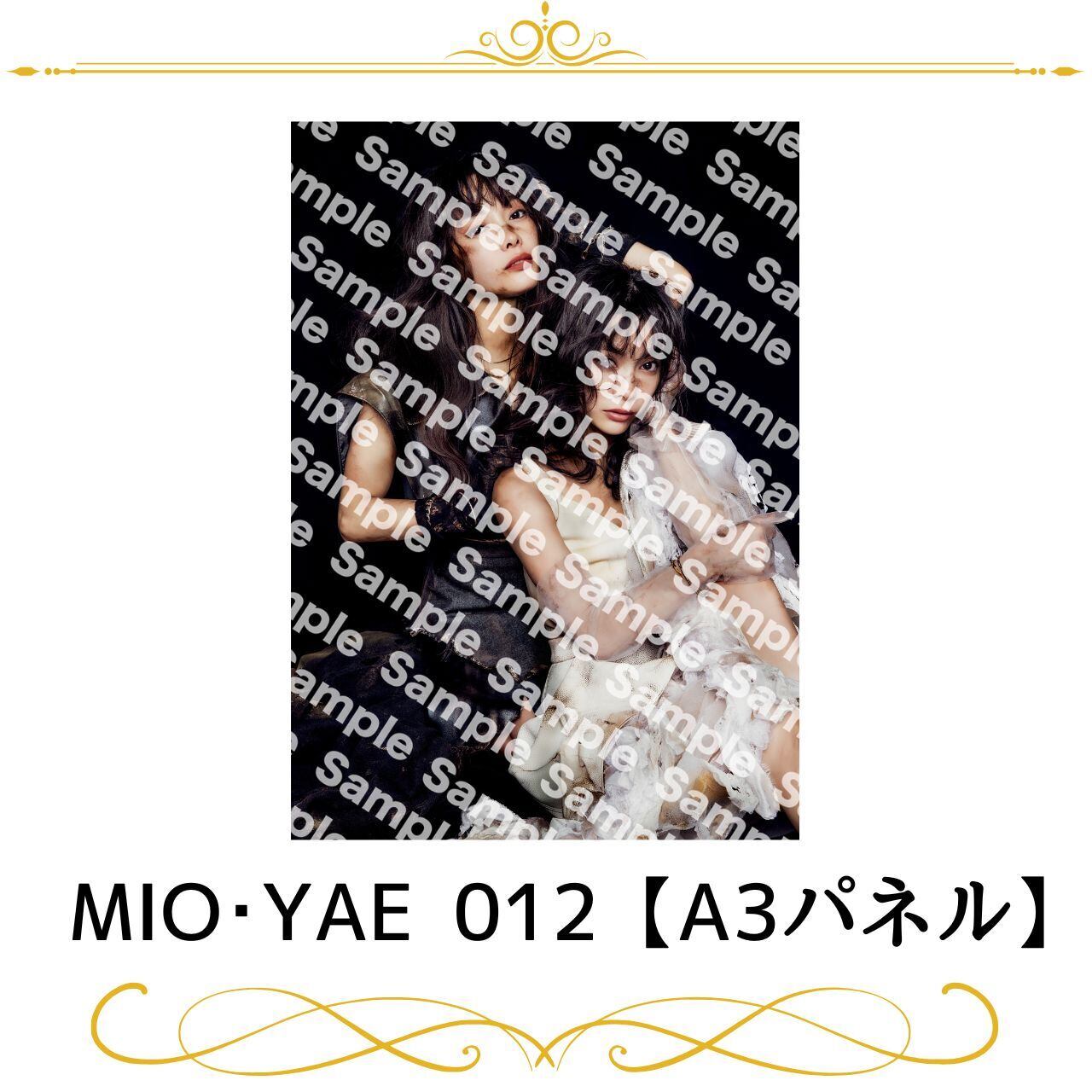 小泉萌香 女勇展 展示パネルA2サイズ joyuproject