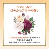 ビゲン 香りのヘアカラー乳液 3NA 明るいナチュラリーブラウン